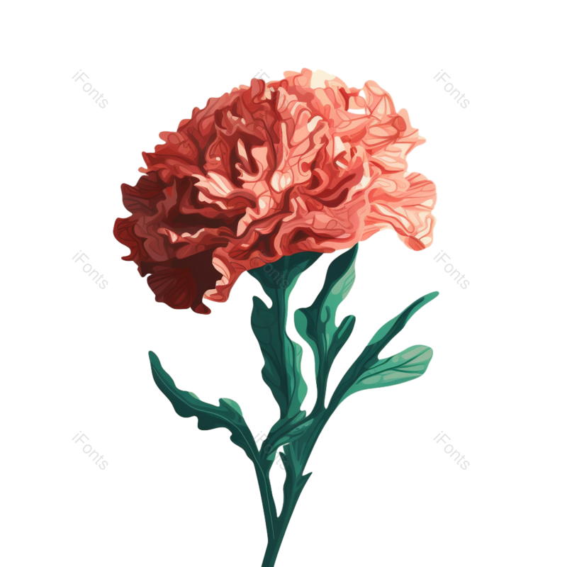 花朵背景图片,花朵素材元素,花朵边框PNG,免抠素材